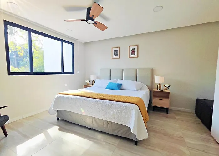 Conchita 6 Maiahome Modern In Condesa 1br Appartement