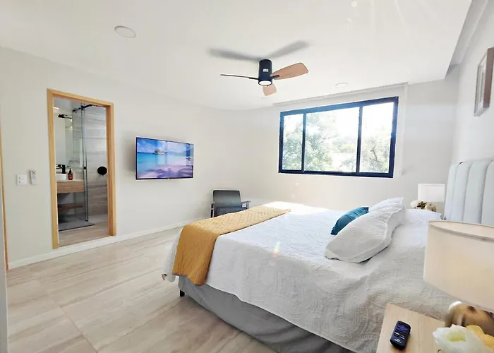 Conchita 6 Maiahome Modern In Condesa 1br Appartement